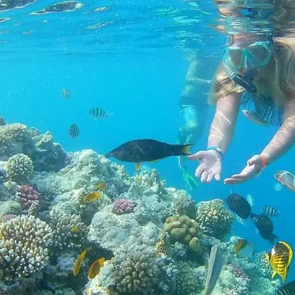 Ausflüge Schnorcheln hurghada egypten - urlaub ägypten