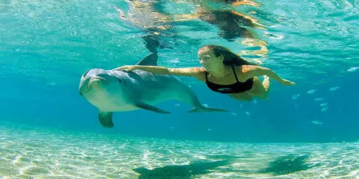 Dolphin House Hurghada 2
