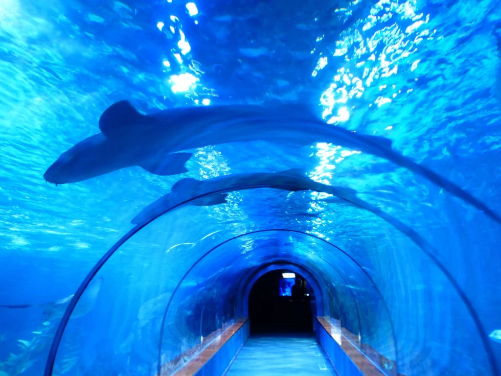 Grand Aquarium urlaub ägypten
