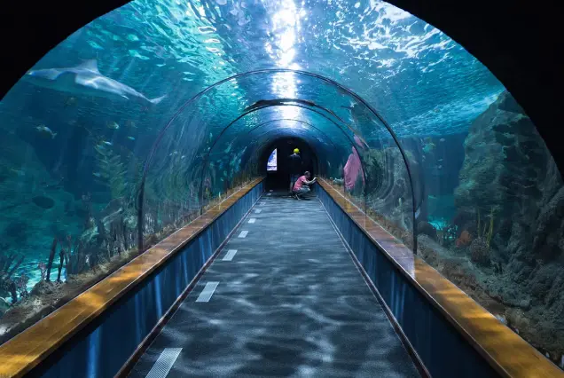Grand Aquarium 