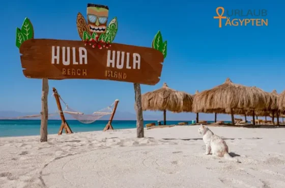 Hola Hola Hurghada – Schnorchelausflug