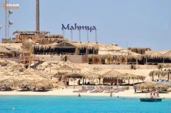Mahmya Schnorcheln Ausflug In Hurghada