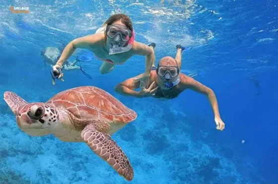 Private Bootstour Hurghada Zum Schnorcheln
