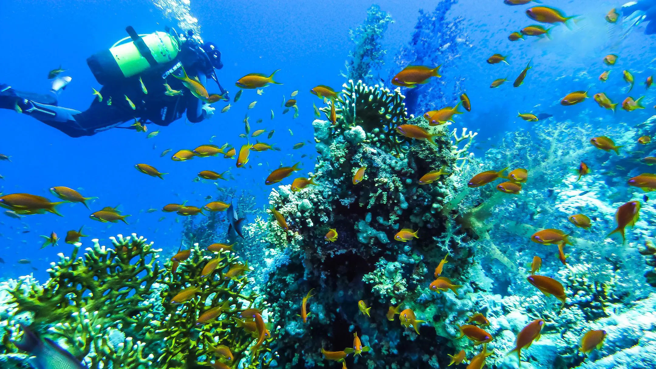 Schnorchel Touren in Hurghada urlaub ägypten