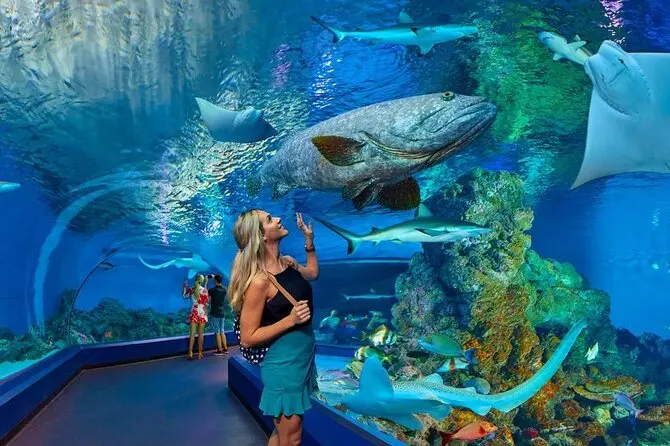 Aquarium Hurghada Preise - urlaub ägypten 1