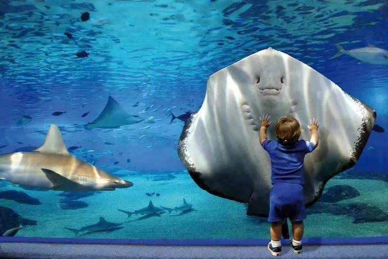 Aquarium Hurghada Preise - urlaub ägypten 2