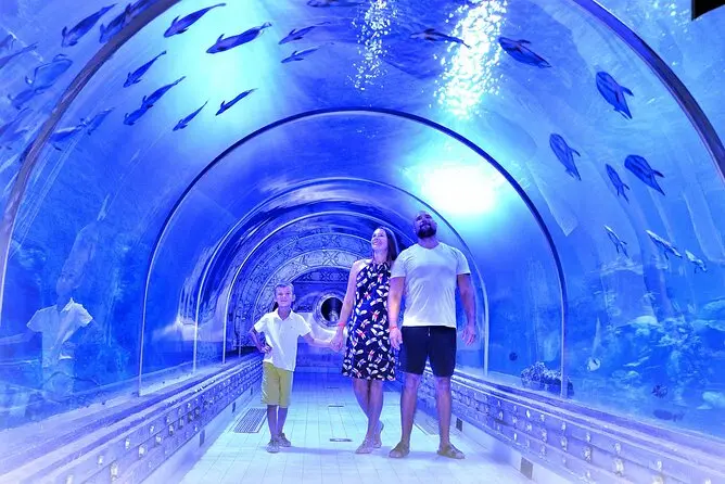 Aquarium Hurghada Preise - urlaub ägypten