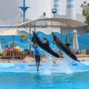 Delfinarium Hurghada Preise - urlaub ägypten 1