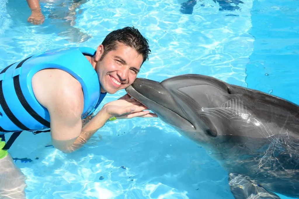 Delfinarium Hurghada Preise - urlaub ägypten 2