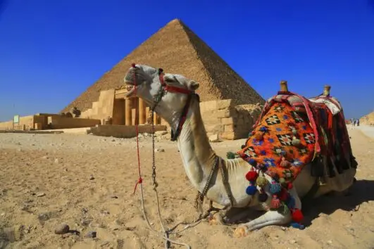 Erlebnis Ägypten VIP Ausflüge Preise - urlaub ägypten 4