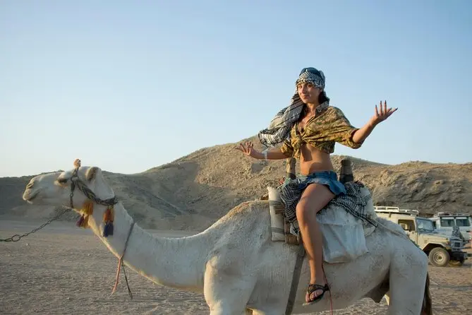 Hurghada Kamelreiten Preise - urlaub ägypten 1