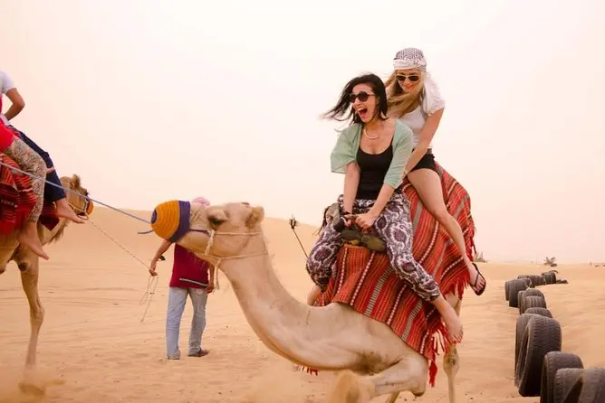 Hurghada Kamelreiten Preise - urlaub ägypten 2