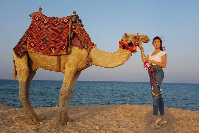 Hurghada Kamelreiten Preise - urlaub ägypten 3