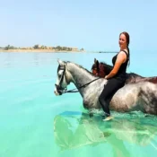 Reiten Hurghada Preise - urlaub ägypten 1