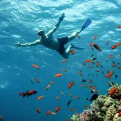 Schnorcheln Hurghada Preise - urlaub ägypten 1