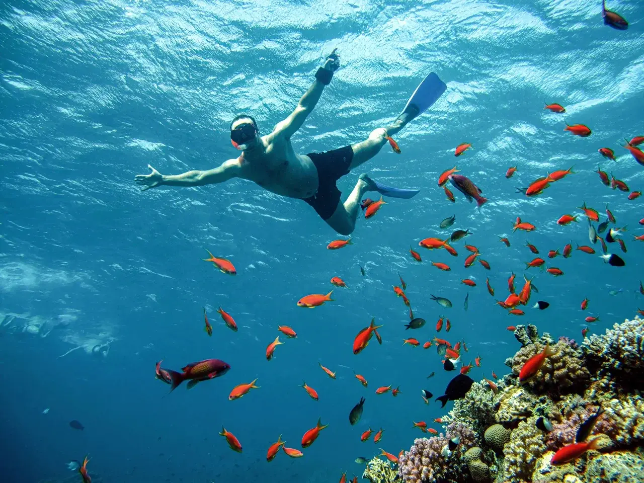 Schnorcheln Hurghada Preise - urlaub ägypten 1