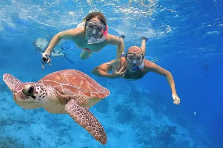 Schnorcheln Hurghada Preise - urlaub ägypten 3