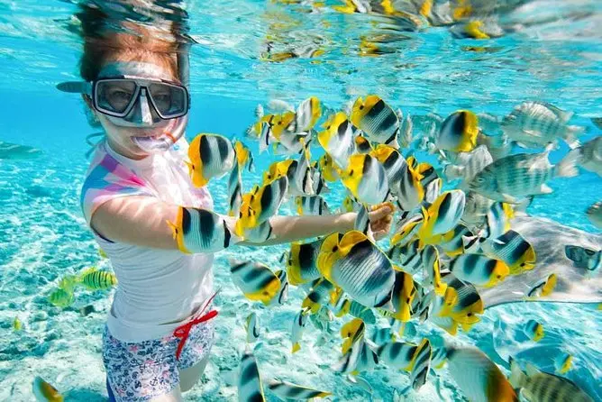 Schnorcheln Hurghada Preise - urlaub ägypten 4