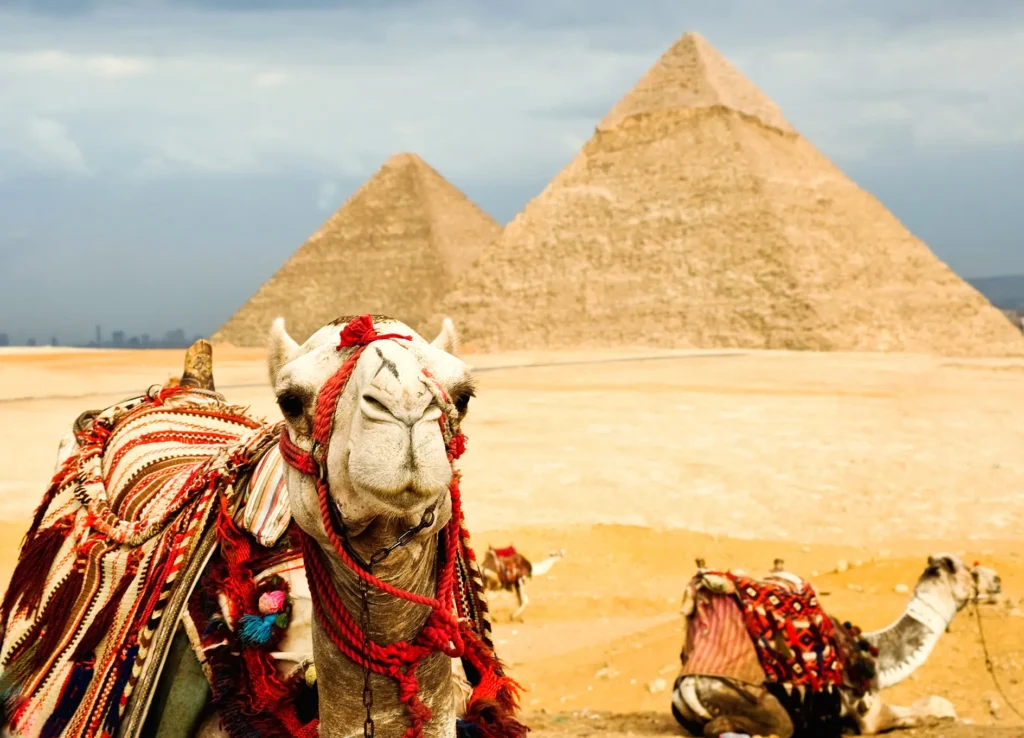 Tagesausflug nach Kairo - urlaub ägypten